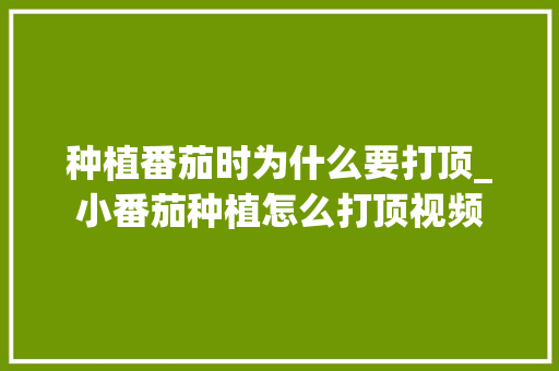 种植番茄时为什么要打顶_小番茄种植怎么打顶视频