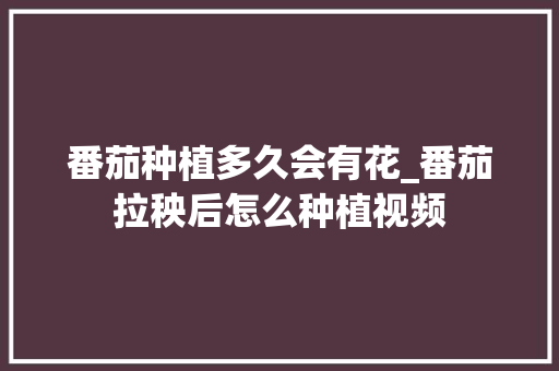 番茄种植多久会有花_番茄拉秧后怎么种植视频 番茄种植多久会有花_番茄拉秧后怎么种植视频 土壤施肥