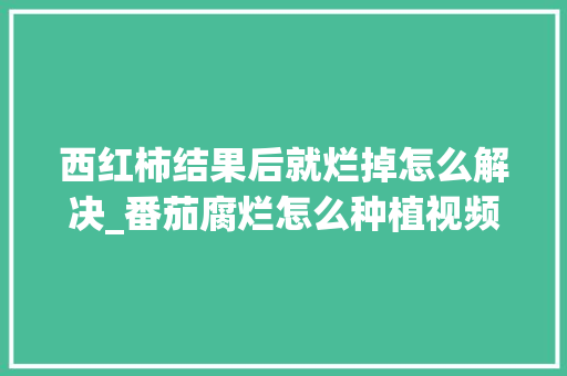 西红柿结果后就烂掉怎么解决_番茄腐烂怎么种植视频