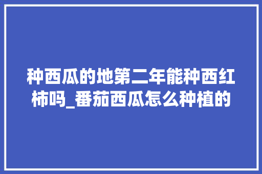 种西瓜的地第二年能种西红柿吗_番茄西瓜怎么种植的视频