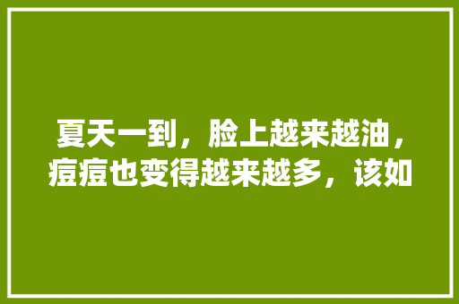夏天一到，脸上越来越油，痘痘也变得越来越多，该如何去掉脸上痘痘_贝斯番茄种子怎么种植视频
