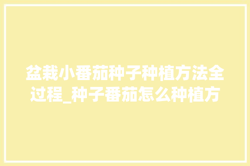 盆栽小番茄种子种植方法全过程_种子番茄怎么种植方法 盆栽小番茄种子种植方法全过程_种子番茄怎么种植方法 花朵知识