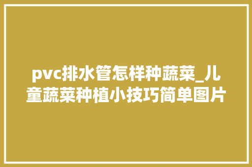 pvc排水管怎样种蔬菜_儿童蔬菜种植小技巧简单图片