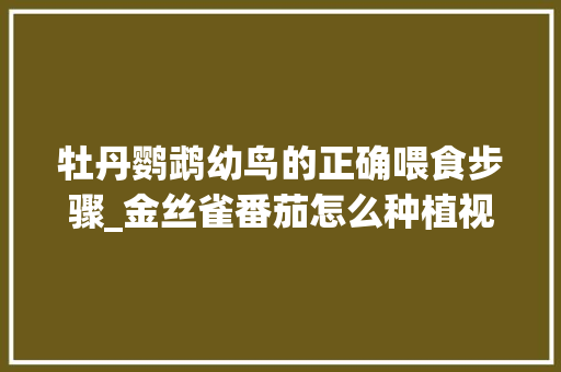 牡丹鹦鹉幼鸟的正确喂食步骤_金丝雀番茄怎么种植视频
