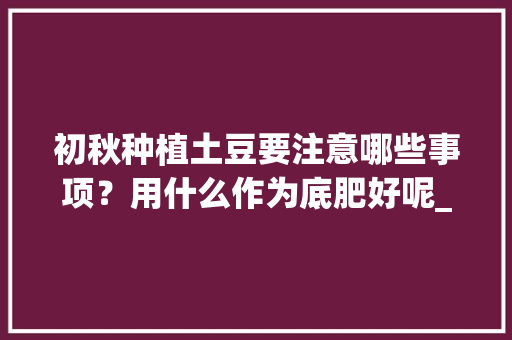 初秋种植土豆要注意哪些事项？用什么作为底肥好呢_怎么种植富硒番茄苗子视频