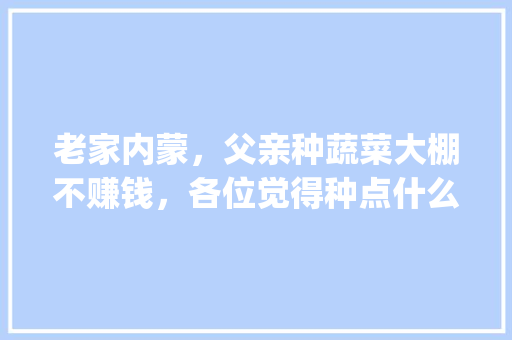 老家内蒙，父亲种蔬菜大棚不赚钱，各位觉得种点什么好呢_大棚蔬菜种植卖菜技巧和方法