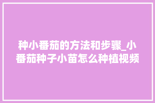 种小番茄的方法和步骤_小番茄种子小苗怎么种植视频 种小番茄的方法和步骤_小番茄种子小苗怎么种植视频 农业常识