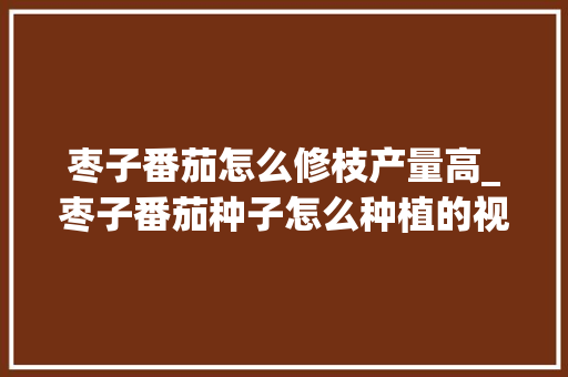 枣子番茄怎么修枝产量高_枣子番茄种子怎么种植的视频 枣子番茄怎么修枝产量高_枣子番茄种子怎么种植的视频 农业常识