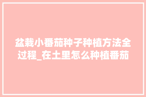 盆栽小番茄种子种植方法全过程_在土里怎么种植番茄视频 盆栽小番茄种子种植方法全过程_在土里怎么种植番茄视频 番茄种植技巧