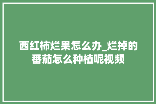 西红柿烂果怎么办_烂掉的番茄怎么种植呢视频 西红柿烂果怎么办_烂掉的番茄怎么种植呢视频 番茄种植技巧