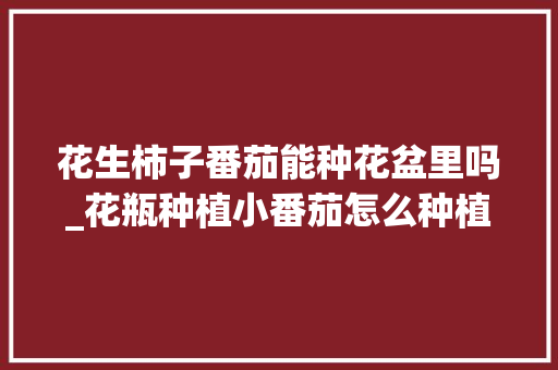 花生柿子番茄能种花盆里吗_花瓶种植小番茄怎么种植视频 花生柿子番茄能种花盆里吗_花瓶种植小番茄怎么种植视频 番茄种植技巧