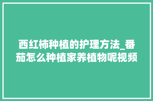 西红柿种植的护理方法_番茄怎么种植家养植物呢视频 西红柿种植的护理方法_番茄怎么种植家养植物呢视频 番茄种植技巧