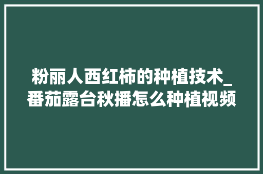 粉丽人西红柿的种植技术_番茄露台秋播怎么种植视频 粉丽人西红柿的种植技术_番茄露台秋播怎么种植视频 农业常识