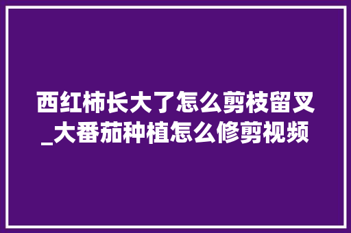 西红柿长大了怎么剪枝留叉_大番茄种植怎么修剪视频