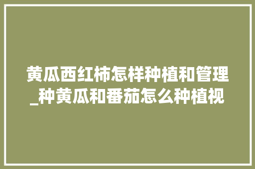 黄瓜西红柿怎样种植和管理_种黄瓜和番茄怎么种植视频