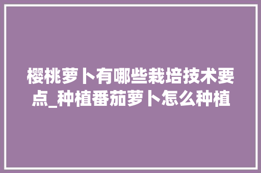 樱桃萝卜有哪些栽培技术要点_种植番茄萝卜怎么种植视频