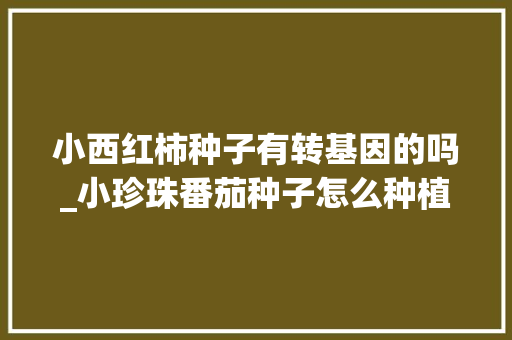 小西红柿种子有转基因的吗_小珍珠番茄种子怎么种植视频