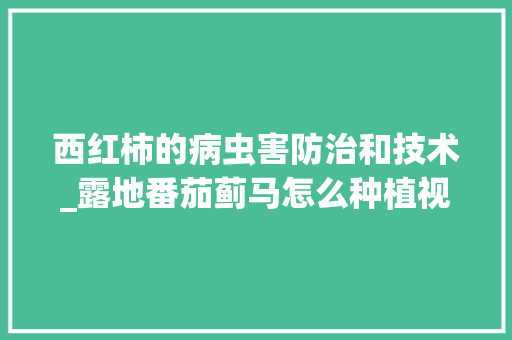 西红柿的病虫害防治和技术_露地番茄蓟马怎么种植视频