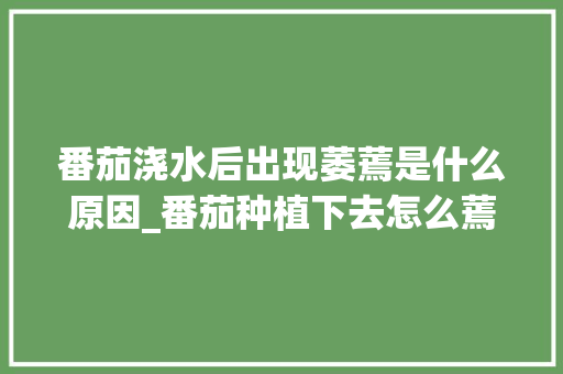 番茄浇水后出现萎蔫是什么原因_番茄种植下去怎么蔫了呢