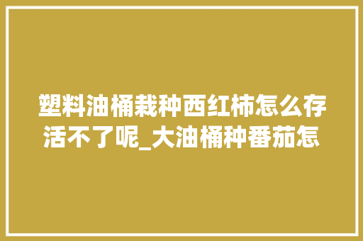 塑料油桶栽种西红柿怎么存活不了呢_大油桶种番茄怎么种植的 塑料油桶栽种西红柿怎么存活不了呢_大油桶种番茄怎么种植的 花朵知识