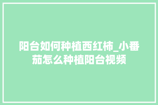 阳台如何种植西红柿_小番茄怎么种植阳台视频