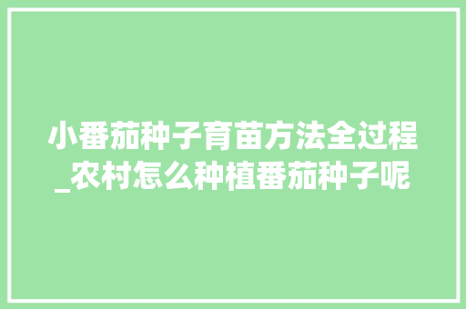 小番茄种子育苗方法全过程_农村怎么种植番茄种子呢 小番茄种子育苗方法全过程_农村怎么种植番茄种子呢 番茄种植技巧