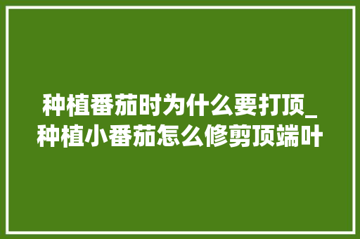 种植番茄时为什么要打顶_种植小番茄怎么修剪顶端叶子