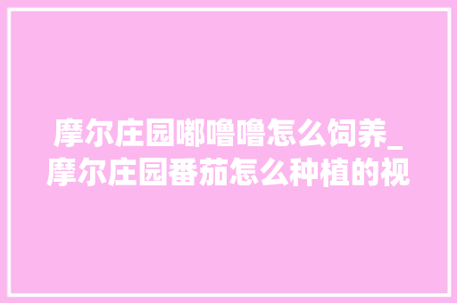 摩尔庄园嘟噜噜怎么饲养_摩尔庄园番茄怎么种植的视频 摩尔庄园嘟噜噜怎么饲养_摩尔庄园番茄怎么种植的视频 种植技巧