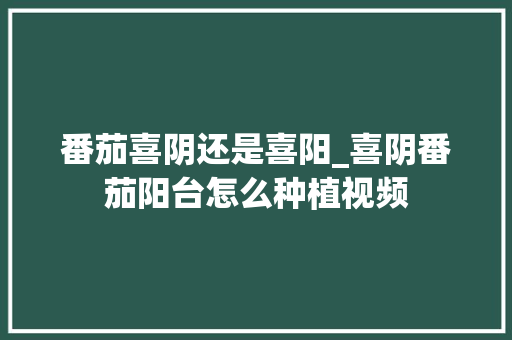 番茄喜阴还是喜阳_喜阴番茄阳台怎么种植视频
