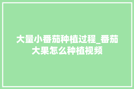 大量小番茄种植过程_番茄大果怎么种植视频 大量小番茄种植过程_番茄大果怎么种植视频 土壤施肥