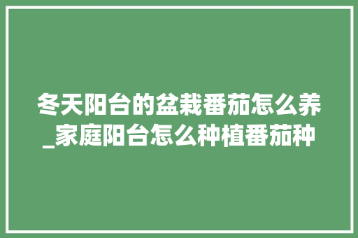 冬天阳台的盆栽番茄怎么养_家庭阳台怎么种植番茄种子 冬天阳台的盆栽番茄怎么养_家庭阳台怎么种植番茄种子 土壤施肥
