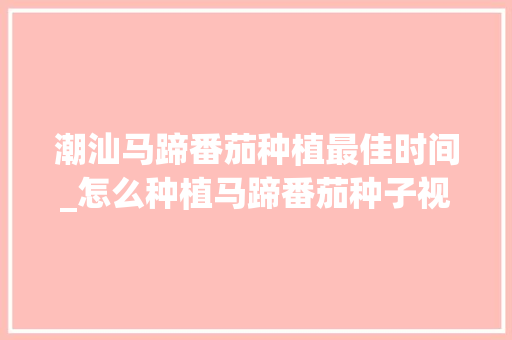 潮汕马蹄番茄种植最佳时间_怎么种植马蹄番茄种子视频 潮汕马蹄番茄种植最佳时间_怎么种植马蹄番茄种子视频 番茄病虫害防治