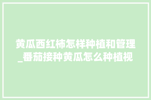 黄瓜西红柿怎样种植和管理_番茄接种黄瓜怎么种植视频 黄瓜西红柿怎样种植和管理_番茄接种黄瓜怎么种植视频 土壤施肥