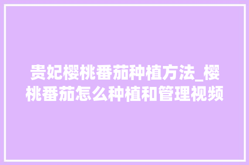 贵妃樱桃番茄种植方法_樱桃番茄怎么种植和管理视频