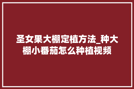 圣女果大棚定植方法_种大棚小番茄怎么种植视频