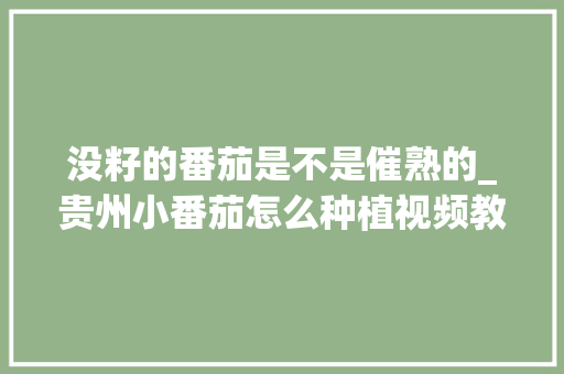 没籽的番茄是不是催熟的_贵州小番茄怎么种植视频教程