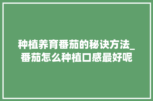 种植养育番茄的秘诀方法_番茄怎么种植口感最好呢