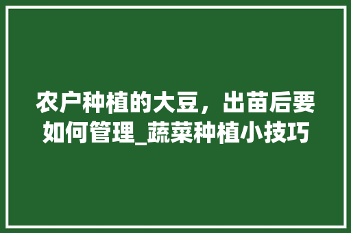 农户种植的大豆，出苗后要如何管理_蔬菜种植小技巧黄豆怎么种