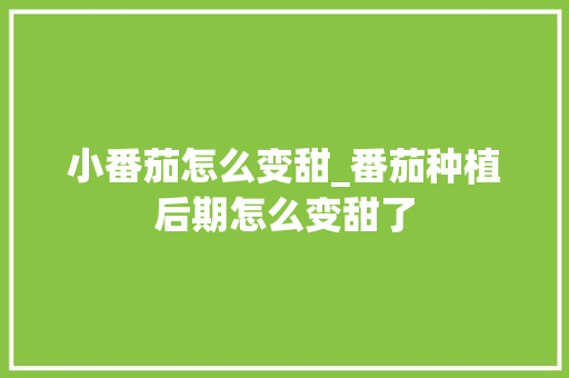 小番茄怎么变甜_番茄种植后期怎么变甜了