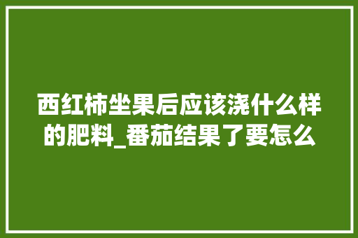 西红柿坐果后应该浇什么样的肥料_番茄结果了要怎么种植呢