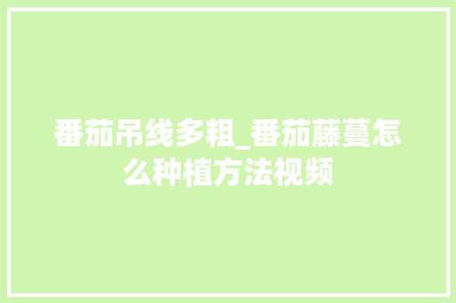 番茄吊线多粗_番茄藤蔓怎么种植方法视频 番茄吊线多粗_番茄藤蔓怎么种植方法视频 植物种类