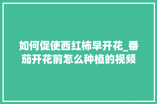 如何促使西红柿早开花_番茄开花前怎么种植的视频