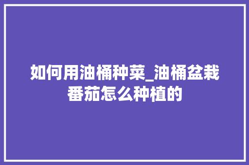 如何用油桶种菜_油桶盆栽番茄怎么种植的 如何用油桶种菜_油桶盆栽番茄怎么种植的 花朵知识