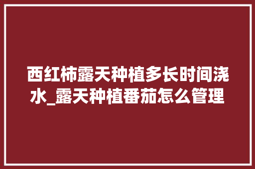 西红柿露天种植多长时间浇水_露天种植番茄怎么管理好