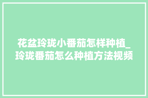 花盆玲珑小番茄怎样种植_玲珑番茄怎么种植方法视频
