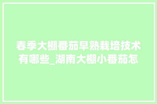 春季大棚番茄早熟栽培技术有哪些_湖南大棚小番茄怎么种植的 春季大棚番茄早熟栽培技术有哪些_湖南大棚小番茄怎么种植的 植物种类