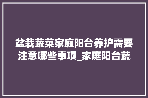 盆栽蔬菜家庭阳台养护需要注意哪些事项_家庭阳台蔬菜种植小技巧视频