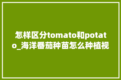 怎样区分tomato和potato_海洋番茄种苗怎么种植视频 怎样区分tomato和potato_海洋番茄种苗怎么种植视频 农业常识