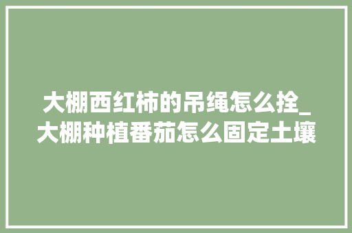 大棚西红柿的吊绳怎么拴_大棚种植番茄怎么固定土壤 大棚西红柿的吊绳怎么拴_大棚种植番茄怎么固定土壤 植物种类