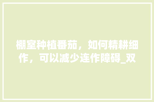 棚室种植番茄，如何精耕细作，可以减少连作障碍_双棚番茄怎么种植方法视频